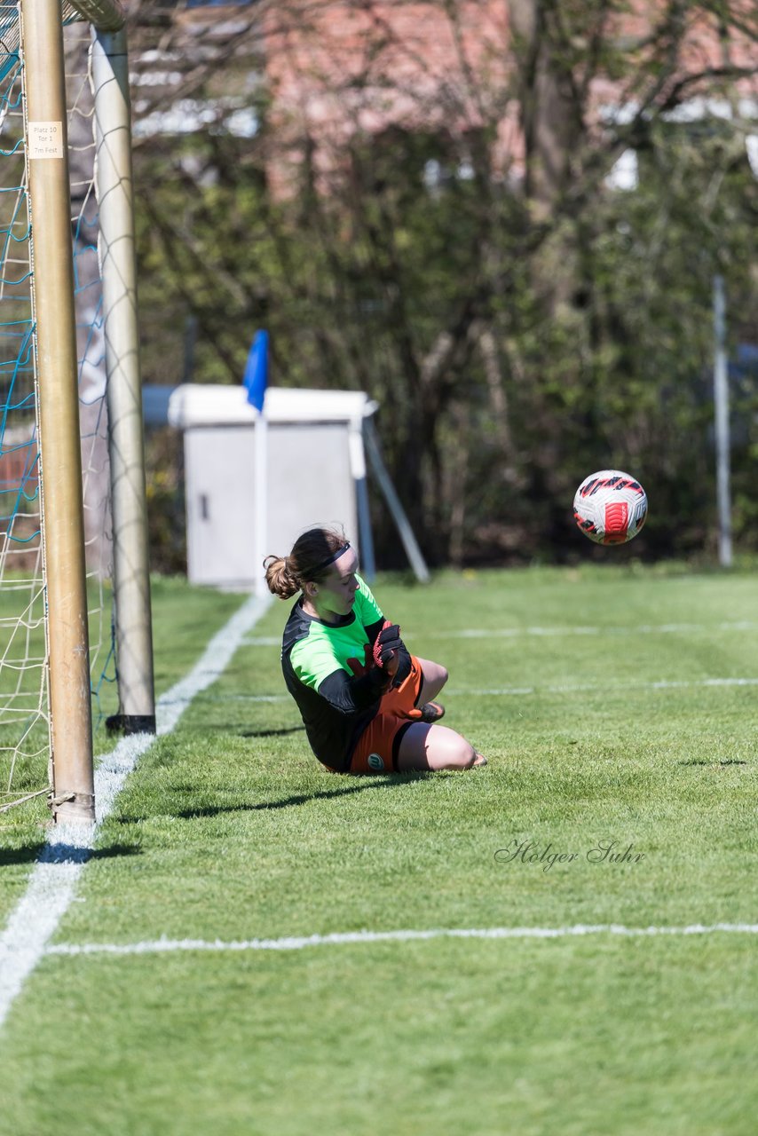 Bild 250 - wBJ Hamburger SV - WfL Wolfsburg : Ergebnis: 2:1